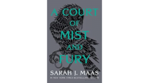 Read more about the article A Court of Mist and Fury Synopsis